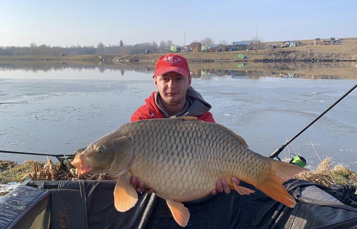 Crapi inghetati de februarie.